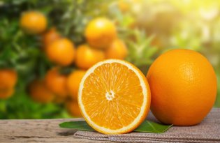 Pomarańcze i ciecierzyca staną się 