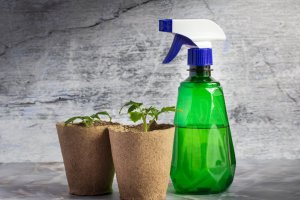 Oto kilka sposobów na ograniczenie uszkodzeń spowodowanych groźnymi przymrozkami:
1. Okryj rośliny: Jeśli spodziewasz się przymrozków, okryj delikatne rośliny folią lub specjalnymi okryciami, aby chronić je przed mrozem.
2. Przenieś rośliny do pomieszcz