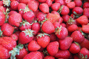 Nowy system rynien pomaga w mechanizacji u producenta truskawek.