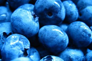 Importowane świeże borówki znów rekordowo drogie