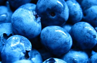 Importowane świeże borówki znów rekordowo drogie