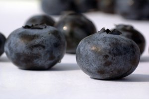 Rośnie podaż krajowych borówek, ale…