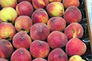 Owoce pestkowe – przybywa brzoskwiń, nektarynek i moreli, a ceny?