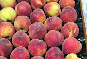 Owoce pestkowe – przybywa brzoskwiń, nektarynek i moreli, a ceny?