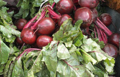 Na rynku buraków ćwikłowych wciąż bez ożywienia