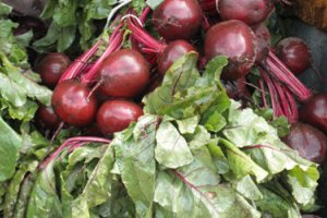 Na rynku buraków ćwikłowych wciąż bez ożywienia