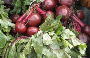 Na rynku buraków ćwikłowych wciąż bez ożywienia