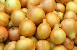 Cebula zyskuje, choć z oporami