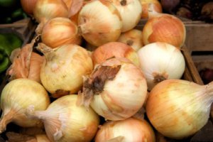 Cebula zaczyna regularny sezon taniej niż rok temu