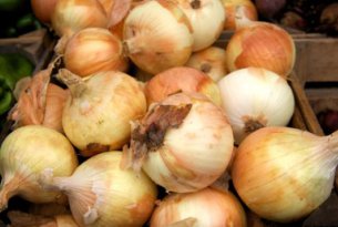 Cebula zaczyna regularny sezon taniej niż rok temu
