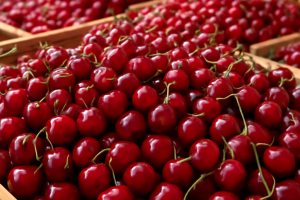 Czereśnie: import ogranicza potencjał polskiego sezonu, mimo szczytu popytu