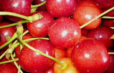 Krajowe czereśnie – podaż śladowa, a ceny?
