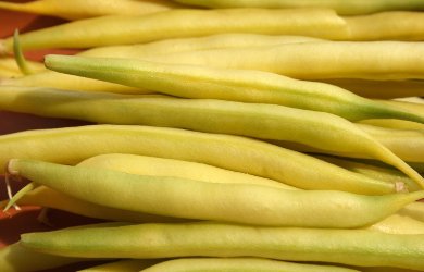 Fasolka szparagowa – mało i drogo, nawet jak na początek sezonu