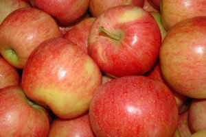 Jeśli Gala – to jabłka grubsze i paskowane