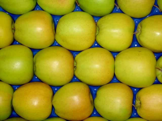 Jakie ceny jabłek Golden Delicious