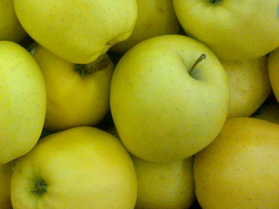 Ceny jabłek – Golden bez szans