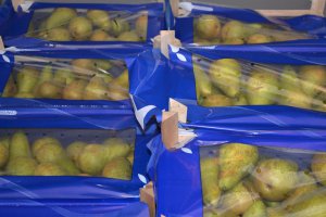 Czy ceny gruszek mogą wzrosnąć w końcówce kwietnia|?