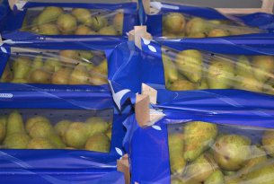 Czy ceny gruszek mogą wzrosnąć w końcówce kwietnia|?