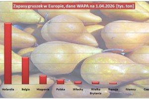Jak duże były zapasy gruszek w kwietniu br. (dane WAPA)
