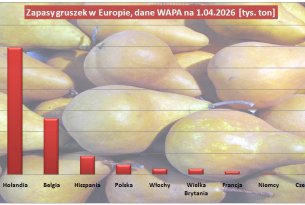 Jak duże były zapasy gruszek w kwietniu br. (dane WAPA)