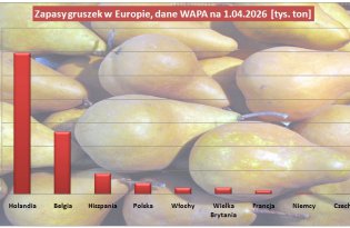 Jak duże były zapasy gruszek w kwietniu br. (dane WAPA)