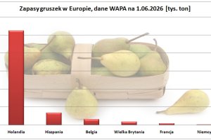 Jak duże były zapasy gruszek w maju br. (dane WAPA)