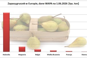 Jak duże były zapasy gruszek w maju br. (dane WAPA)