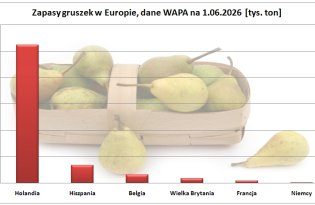 Jak duże były zapasy gruszek w maju br. (dane WAPA)