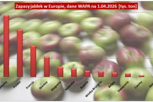 Jakie były zapasy jabłek w Europie w kwietniu, jakie w samej Polsce (WAPA)?