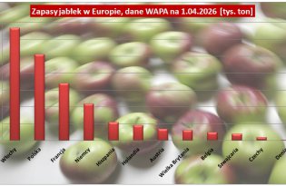 Jakie były zapasy jabłek w Europie w kwietniu, jakie w samej Polsce (WAPA)?