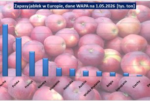 Jakie były zapasy jabłek w Europie w maju, jakie w samej Polsce (WAPA)?