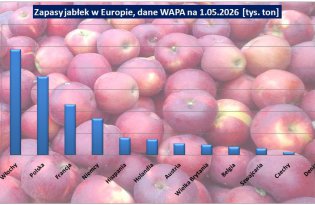 Jakie były zapasy jabłek w Europie w maju, jakie w samej Polsce (WAPA)?