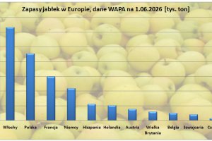 Jakie były zapasy jabłek w Europie w czerwcu, jakie w samej Polsce (WAPA)?