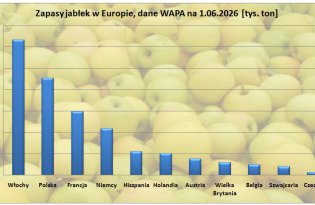 Jakie były zapasy jabłek w Europie w czerwcu, jakie w samej Polsce (WAPA)?