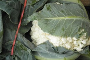 Są już pierwsze kalafiory z krajowych upraw