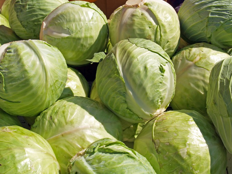 Kapusta biała wreszcie droższa