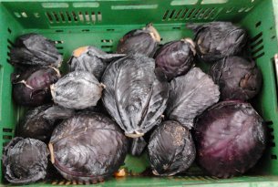 Nie ma poprawy w cenach kapusty czerwonej