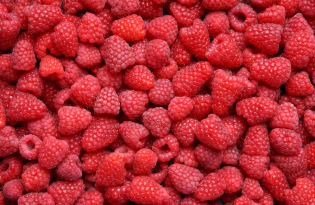 Maliny w skupach – ceny w dół?