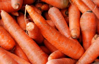 Dynamiczny wzrost cen marchwi