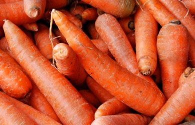 Marchew radzi sobie cenowo lepiej niż w zeszłym roku