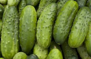 Ceny ogórków szklarniowych wyraźnie w dół, a ogórki gruntowe?
