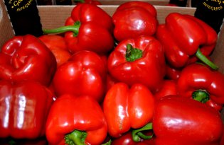 Papryka świeża – ceny pod presją, ale…