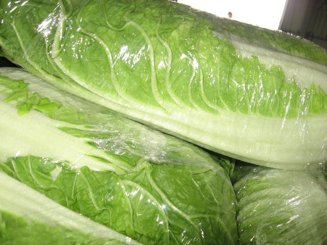 Duże przemeblowanie w cenach kapusty pekińskiej