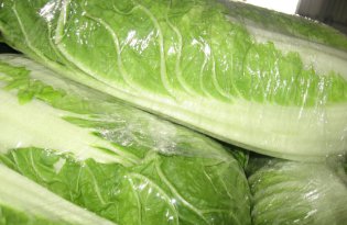 Duże przemeblowanie w cenach kapusty pekińskiej