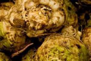 Ceny selerów nadal szorują po dnie