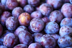 Śliwki deserowe – ceny nieco lepsze niż rok temu