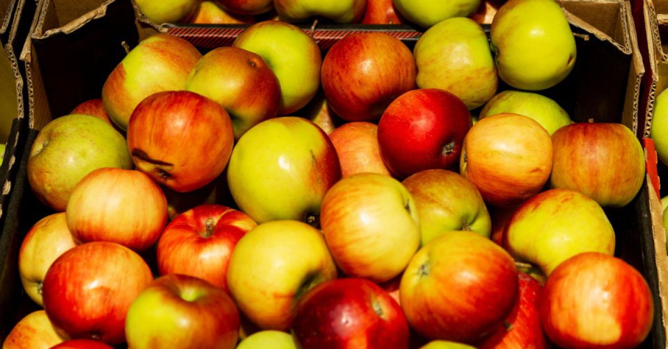 Poprawa cen jabłek Szampion