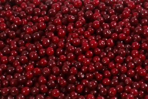 Sezon skupu wiśni dobiegł do mety