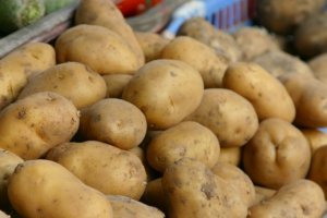 Ziemniaków najpewniej będzie mniej, a ceny…