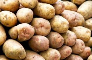 Stało się, ceny ziemniaków najgorsze od 7 lat